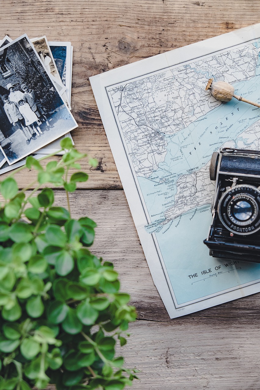 camera, vintage, map, plant, flat lay, nature, retro, photographs, old, old camera, vintage camera, photography